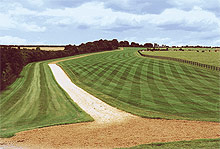 Turf renovation and complete construction to the racecourse industry